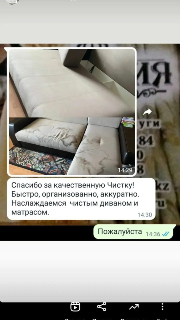 Изображение WhatsApp 2024-10-06 в 14.59.44_fb99fa78